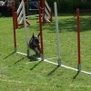 agility 2011-07-24